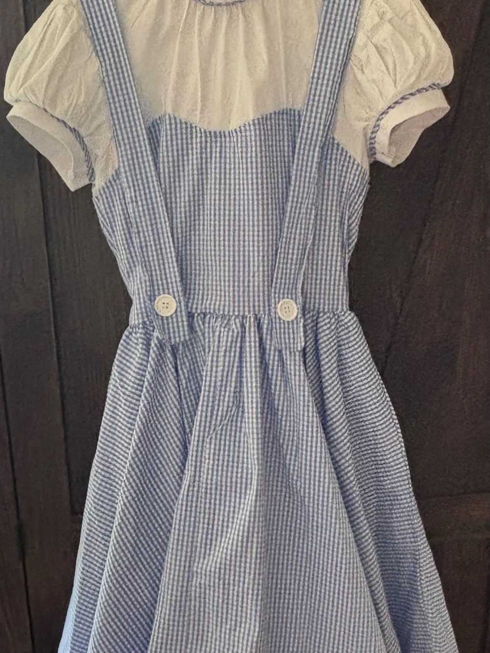 Dorothy-Costume Dress